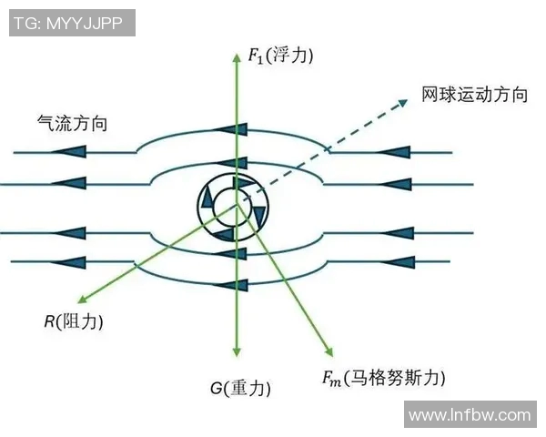 网球新手必看：从零开始的比赛经验与技巧全攻略